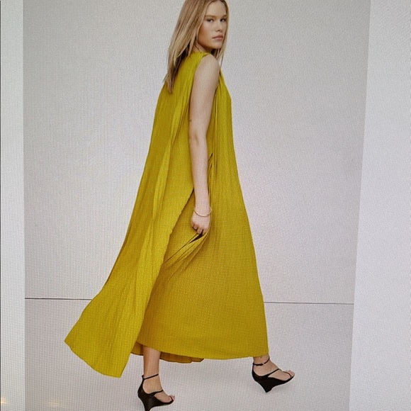 Banana Republic Antique Moss Green / Yellow Maxi Pleated Cape Dress - Picture 2 of 5